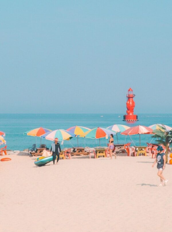 Colorful umbrellas line a sunny beach with ocean background.